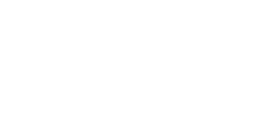 Image dls_store_logo_inverse