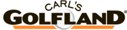 Image dls_store_logo