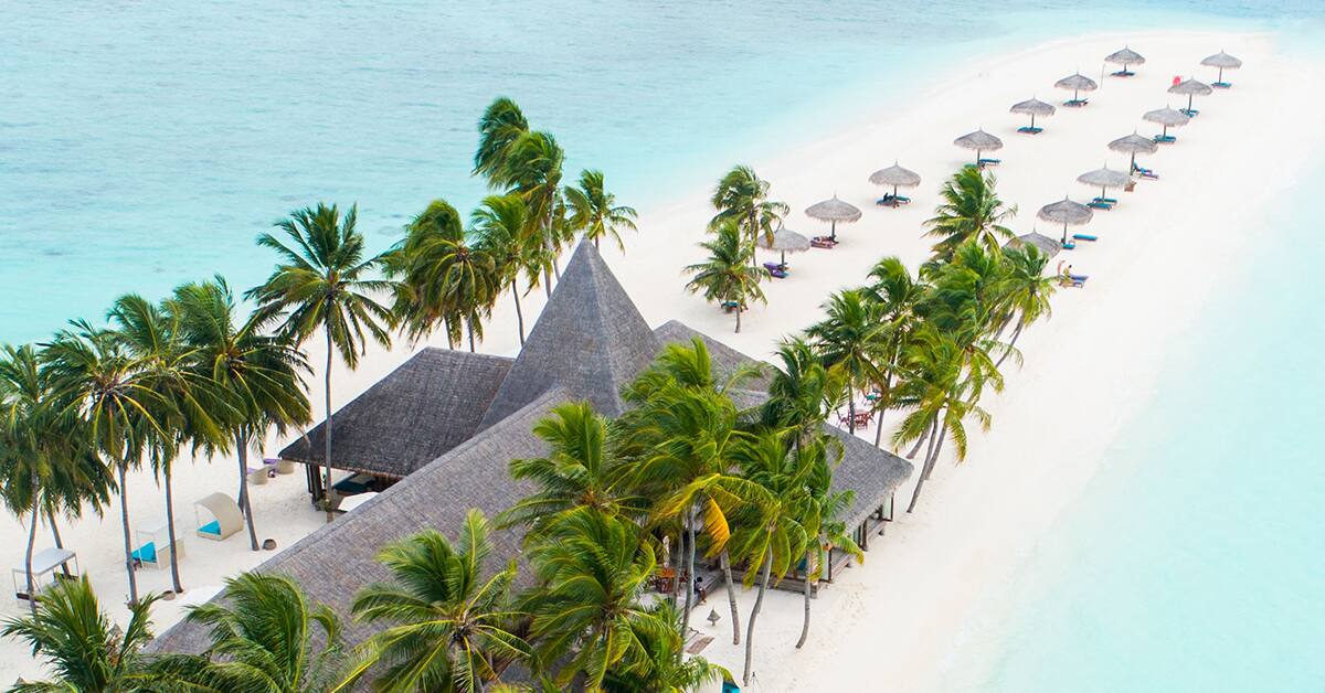 Avoya Travel - Rakuten coupons and Cash Back