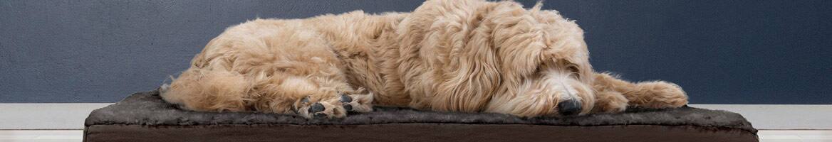 Furhaven Pet Products banner - Rakuten coupons and Cash Back