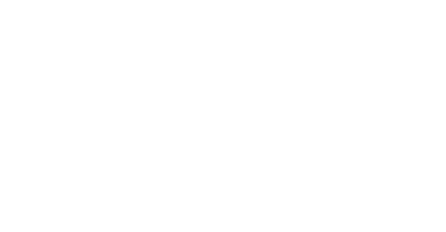 Party Expert logo
