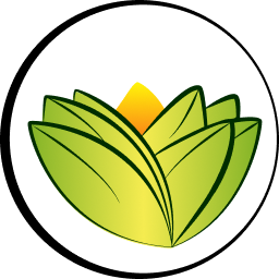 Image dls_store_logo