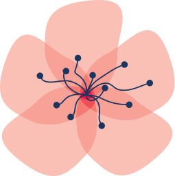 Image dls_store_logo
