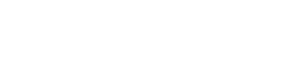 Image dls_store_logo_inverse
